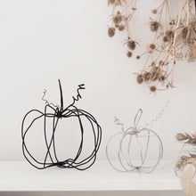 Load image into Gallery viewer, Little Wire Pumpkin

